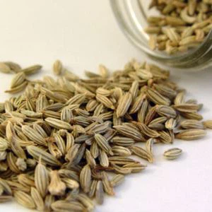 Hladavá anýzová koření